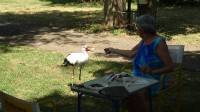 Madame Cigogne