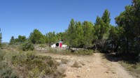 En pleine nature