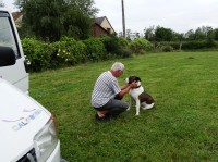 La chienne Isa