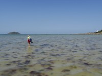 Promenade à marée basse