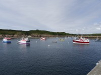 Le port de pêche de Le Conquet