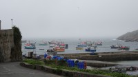 Le port de  pêche dans la brume 