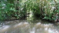 Le Marais Poitevin