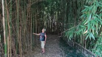 Francine dans les bambous 